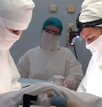 photo_2021-04-14_11-51-07