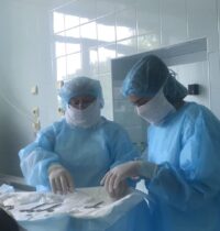 photo_2021-04-14_11-51-10