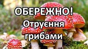 Обережно! Отруєння грибами